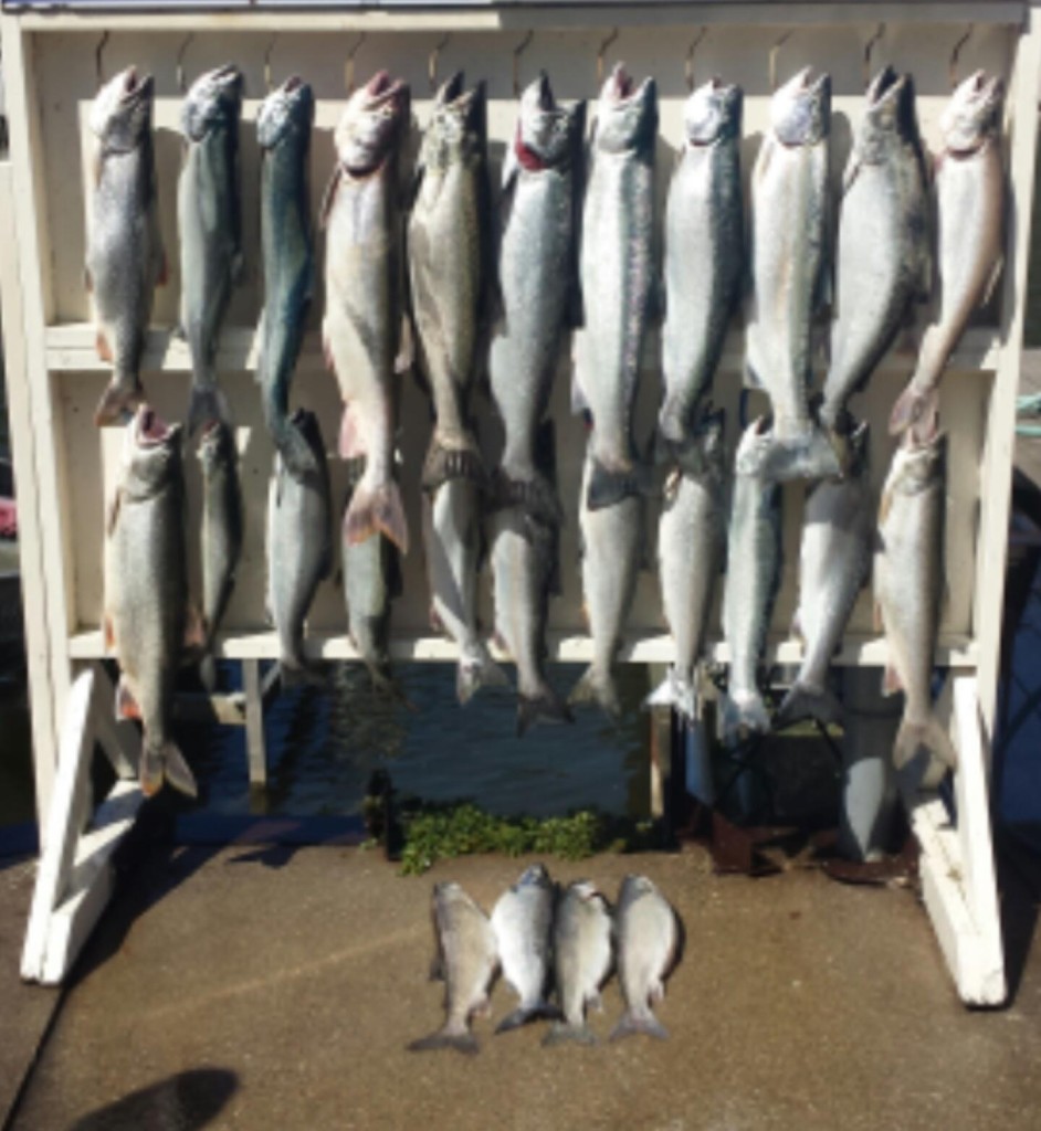 Charters Available/Rates – West Michigan Charter Fishing